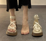 New Hollow Out Female Casual Comfortable Roman Sandals Woman Open Toe Buckle Strap Platform Sandals High Heels Wedge Shoes