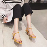 Summer Ladies Sandals Fashion Party Dress Ankle Strap Open Toe Thin Heels Women Sandalias Female Luxery Pumps Sandals