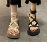 New Hollow Out Female Casual Comfortable Roman Sandals Woman Open Toe Buckle Strap Platform Sandals High Heels Wedge Shoes