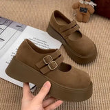 Women's Shoes Platform All-Match Shallow Mouth Round Toe Female Footwear Autumn Clogs Retro Dress New Fall Winter Mary Janes