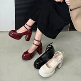 Platform Women Mary Jane Shoes Fashion Elegant Double Buckle Thick Heel Shoes Ladies Dress Pumps High Heel Party Shoes